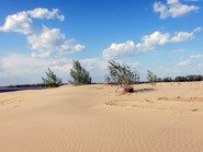 Песчаный берег Волги