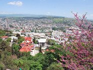 Цветущий Тбилиси