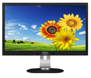 Philips 231P4QPYEB